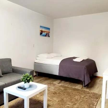 Center 2-room Apartment, Parking 公寓 奥卢